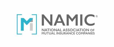 Namic Logo