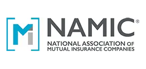 NAMIC Logo